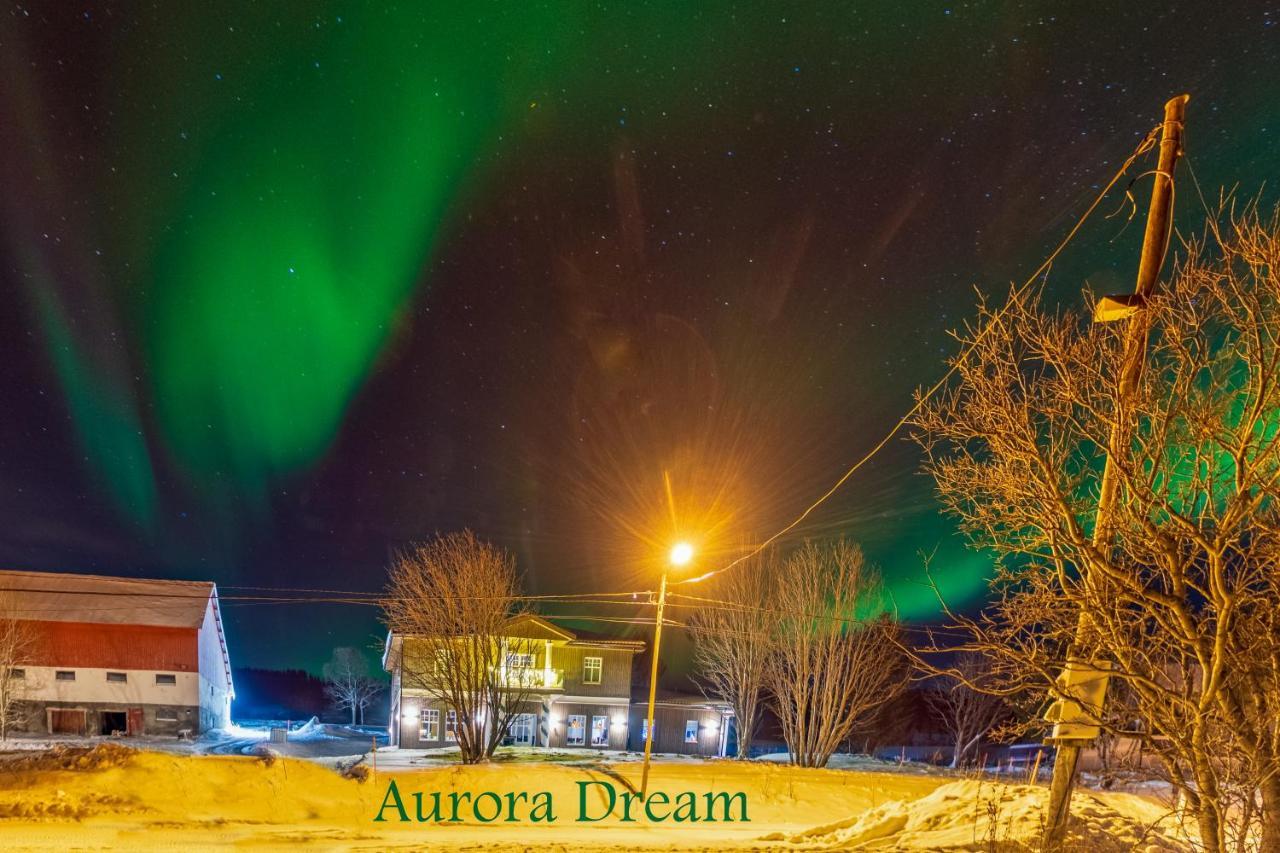 Апартаменти Aurora Dream Svensby Екстер'єр фото